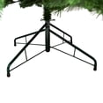 thumbnail image 7 of Northlight Full Colorado Spruce Commercial Artificial Christmas Tree - 15' - Unlit, 7 of 7