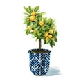 thumbnail image 3 of Popp, Grace 19x24 Black Modern Framed Museum Art Print Titled - Fruit Tree I, 3 of 5