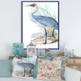 thumbnail image 2 of Ancient Australian Birds V 12 in x 20 in Framed Painting Canvas Art Print, by Designart, 2 of 4