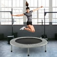 thumbnail image 2 of Goplus Trampoline Pliant Mini 38 Pouces Portable pour Entraînement Physique Récréatif Gris, 2 of 10