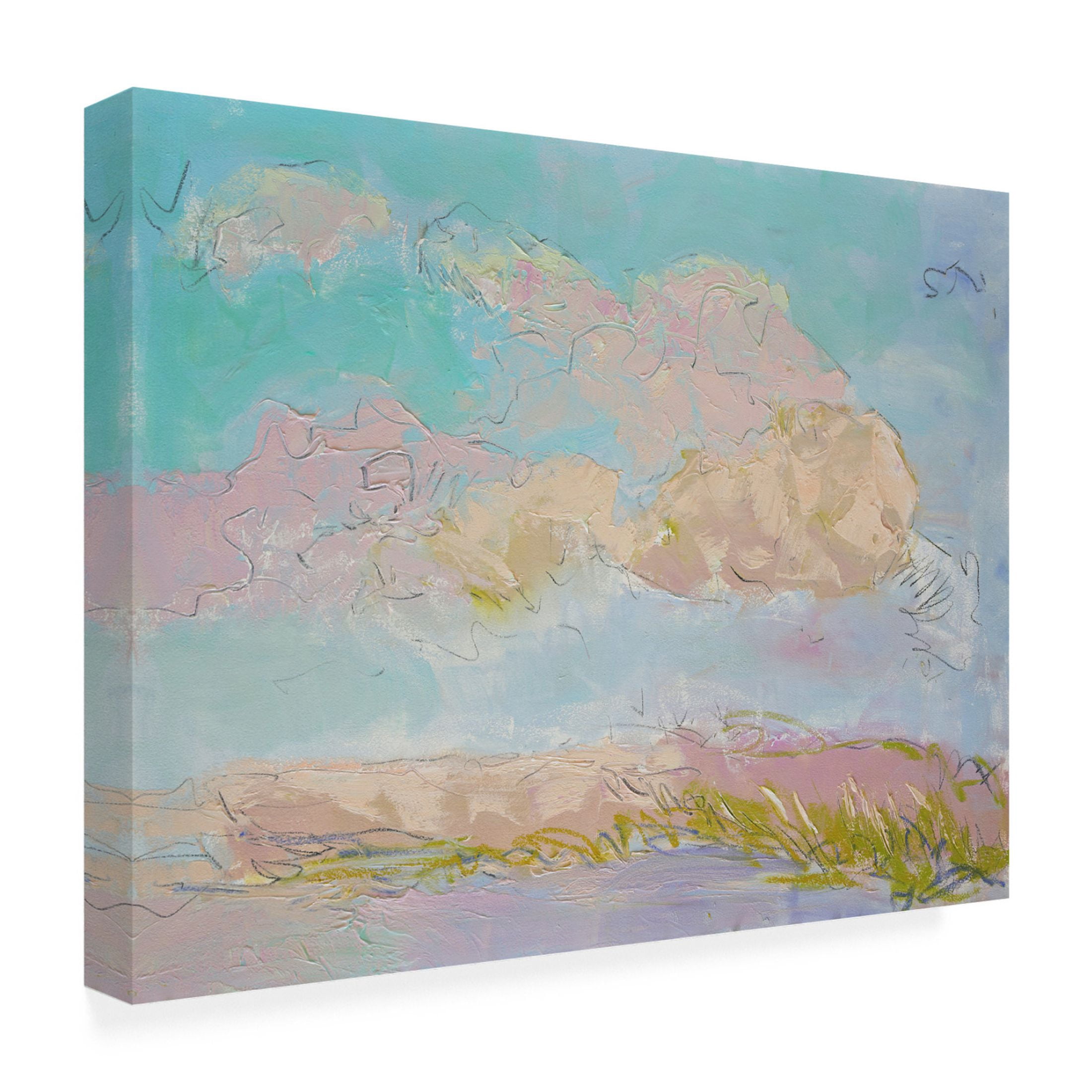 Trademark Fine Art Dorothy Fagan Mellow State of Mind I Canvas Wall Art