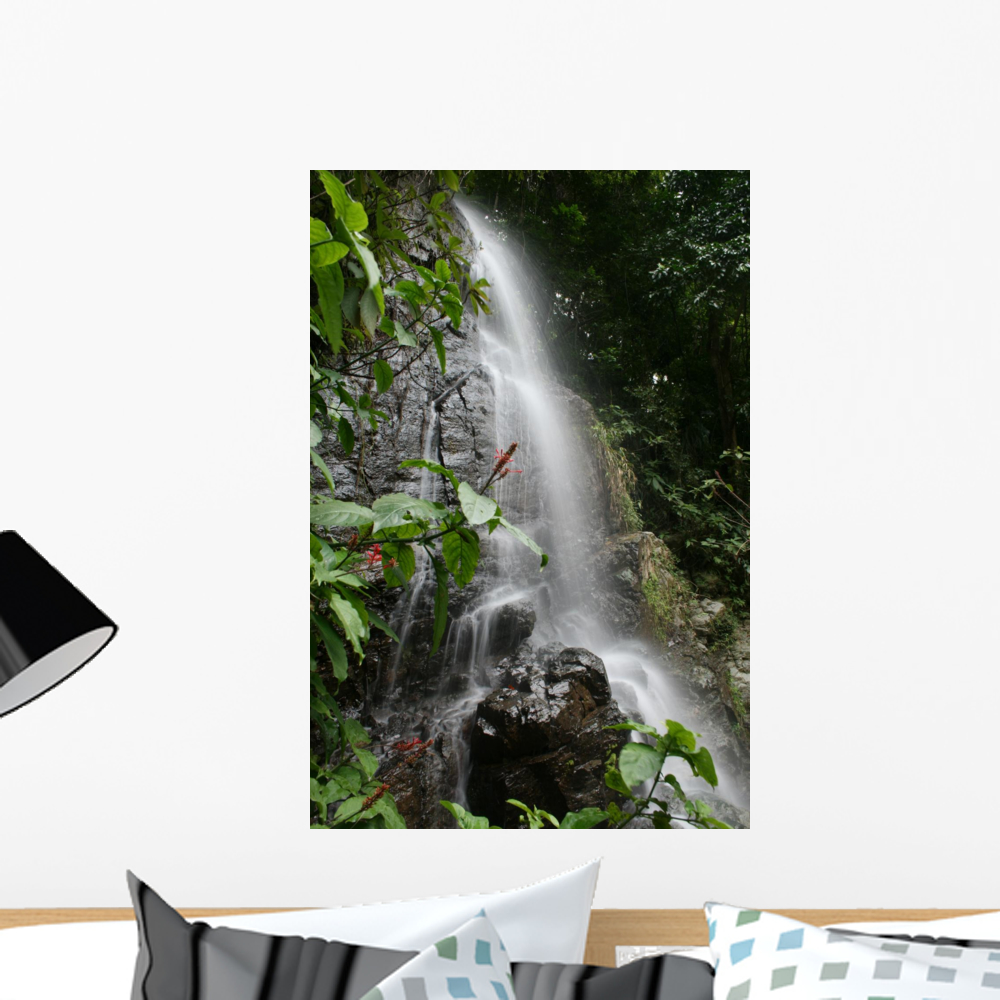 Waterfall Puerto Rico Wall Mural Decal by Wallmonkeys Vinyl Peel and ...