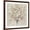 Brown Frame, variant on Art.com Peach Blossom Art Print by Asia Jensen, 16" x 16"