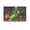 Unframe-style, variant on David Raya Canvas Poster Picture Print Wall Art Poster Painting Canvas Posters Artworks Gift Room Aesthetic 12x18inch(30x45cm)