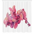 thumbnail image 3 of Ambesonne Orchids Shower Curtain, Pink Blossoms on a Branch, 69"Wx75"L, Dark Coral Peach, 3 of 3