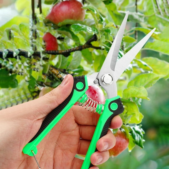 Professional Garden Pruning Shears | Stainless Steel Blade | Non-Slip Handles | Fruit Tree Flower Trimming Scissors | 4 Color Options | 8-Inch Gardening Tool