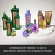 thumbnail image 4 of Shampoo Salerm Biokera Natura Anticaída, 4 of 8