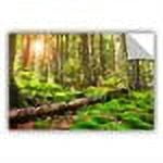 ArtWall Dragos Dumitrascu "Back to Green" ArtAppealz Removable Wall Art