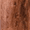 Brown, variant on Brazos 48" Twisted Ash Hitchhiker Walking Stick