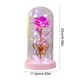 thumbnail image 3 of CaiYueKe LED Rose Night Light with Butterflies Glass Dome Preserved Flower Romantic Gift for Women Valentine's Day Birthday Christmas Home Decor, 3 of 7