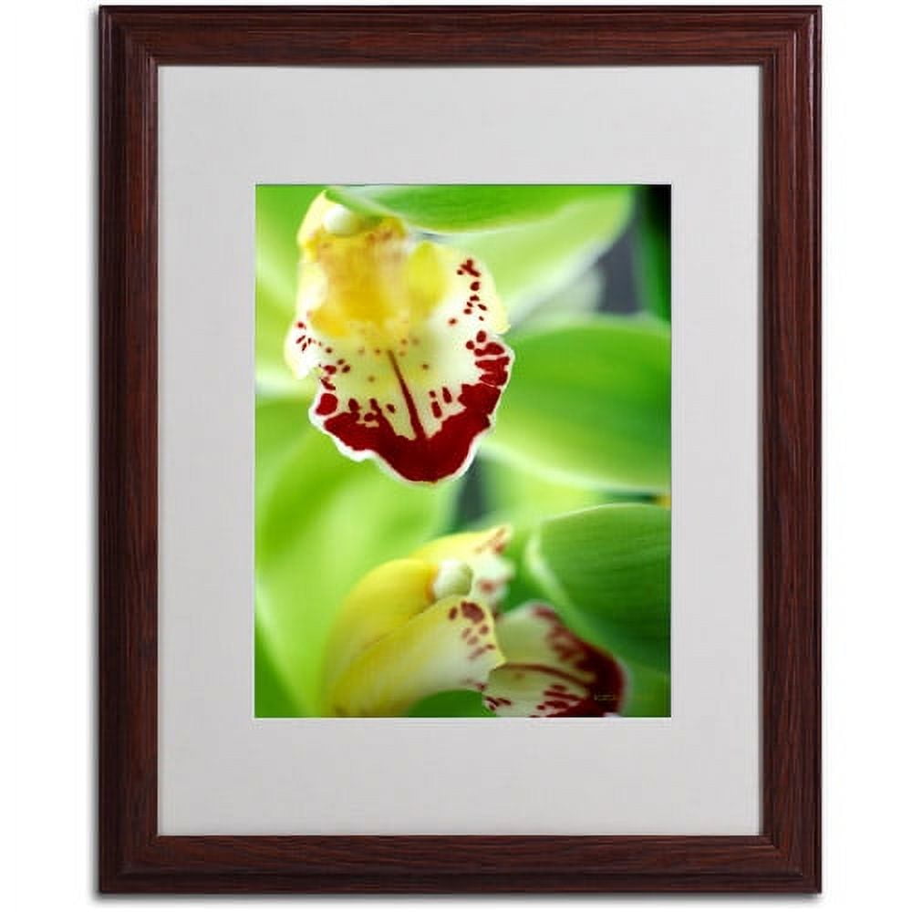 Trademark Fine Art "Cymbidium Seafoam Emerald Orchid" by Kathy Yates, Wood Frame