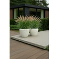 thumbnail image 5 of Jardinière Ronde en Résine Pot Intérieur Extérieur pour Grand Arbre Grande Fleur avec Trou de Drainage, Légère et Résistante aux Intempéries pour Patio, Porche Palmier (Beige Craie, Grande Taille - 22 Pouces), 5 of 5