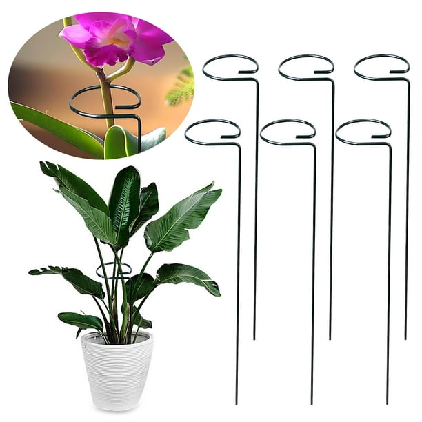 Cuerda trepadora estante maceta jardín pergoleta metal hierro soporte polos, maceta trepadora jardín, estante maceta metal, diseño moderno, soporte polos robusto, metal resistente, para