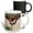 Multicolor, variant on 3drose, Harriss Hawk Landing on Perch Limb., 15oz Mug