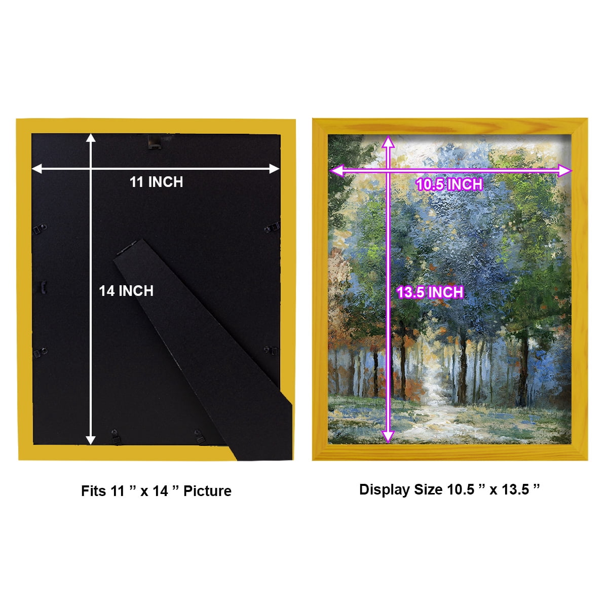 Afternoon Light -Framed Print w/glass-Sunflower Yellow