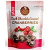 Chocolate Orchard Dark Chocolate Covered Cranberries