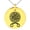 Gold, variant on Stainless Steel Binding Vegvisir Troll Cross Runic Viking Engraved Small Medallion Circle Charm Pendant Necklace