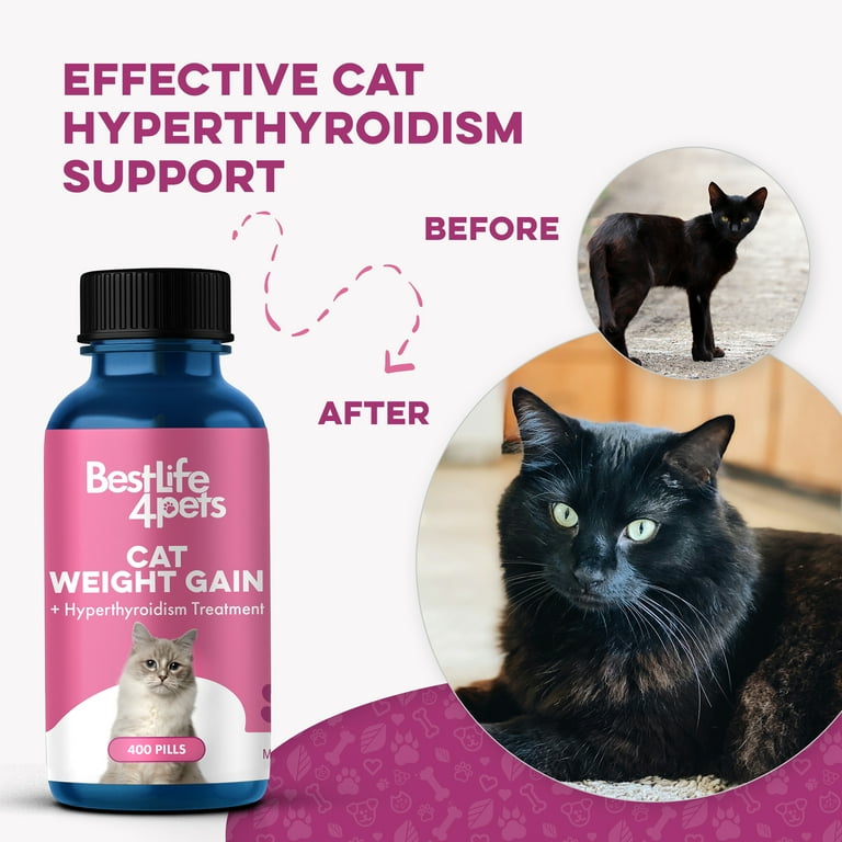 Cat vitamins for weight gain hotsell