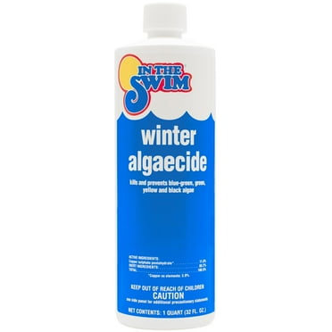 In The Swim Winter Algaecide for Swimming Pools - Winterizing Pool Algaecide C050001012AE