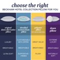 thumbnail image 2 of Pillow Beckham Hotel Collection Down Queen/Standard, paquete de 2, 2 of 9