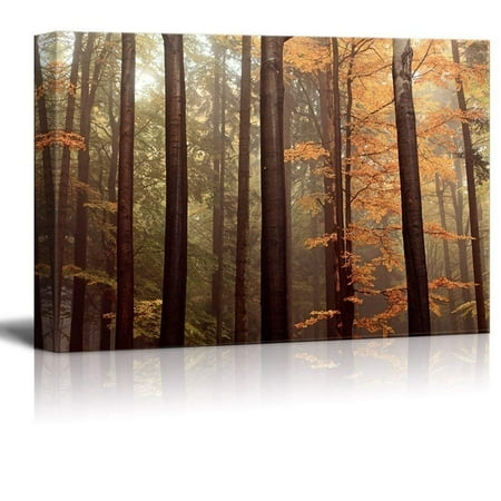 wall26 Canvas Wall Art - Forest with Tall Trees and Yellow Leaves - Giclee Print Gallery Wrap Modern Home Decor Ready to Hang - 32x48 inches