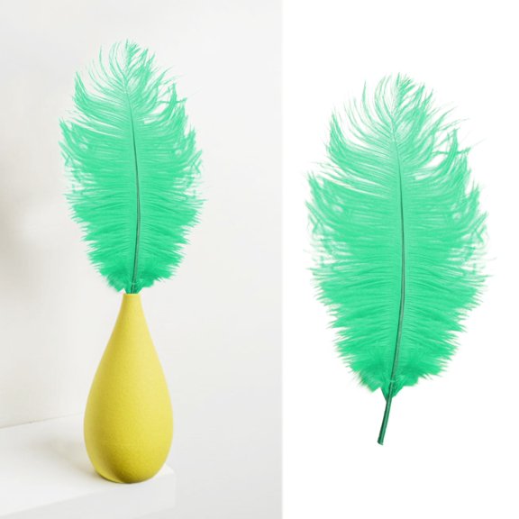 YardChic Colorful Ostrich Feathers, Feathers for Crafting, Fluffy Decorative Plumes for Wedding Flower Arrangement, Stage Backdrop, Clothing Costume DIY, Home Party Art Decor, Dream Catcher Supplies