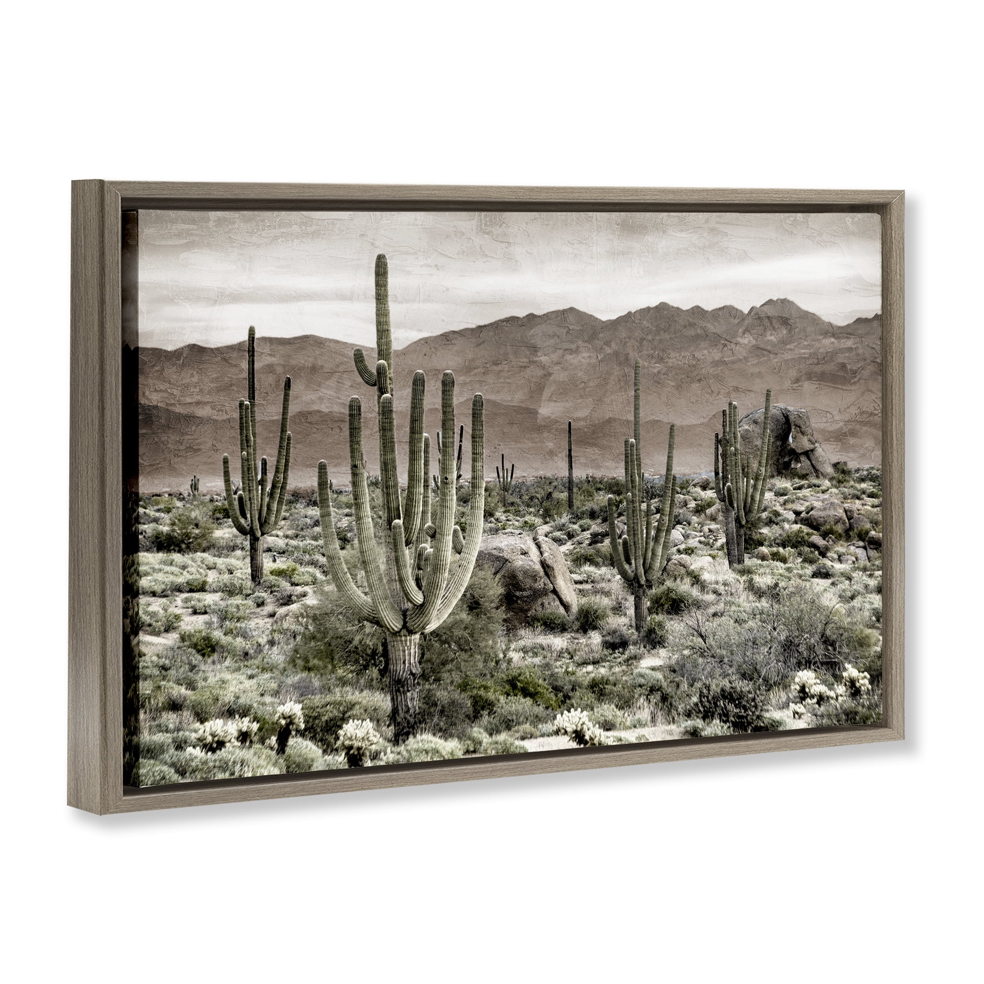 Stupell Industries Desert Land Cacti Wilderness Brown Framed Floater Canvas Wall Art, design by Kim Allen