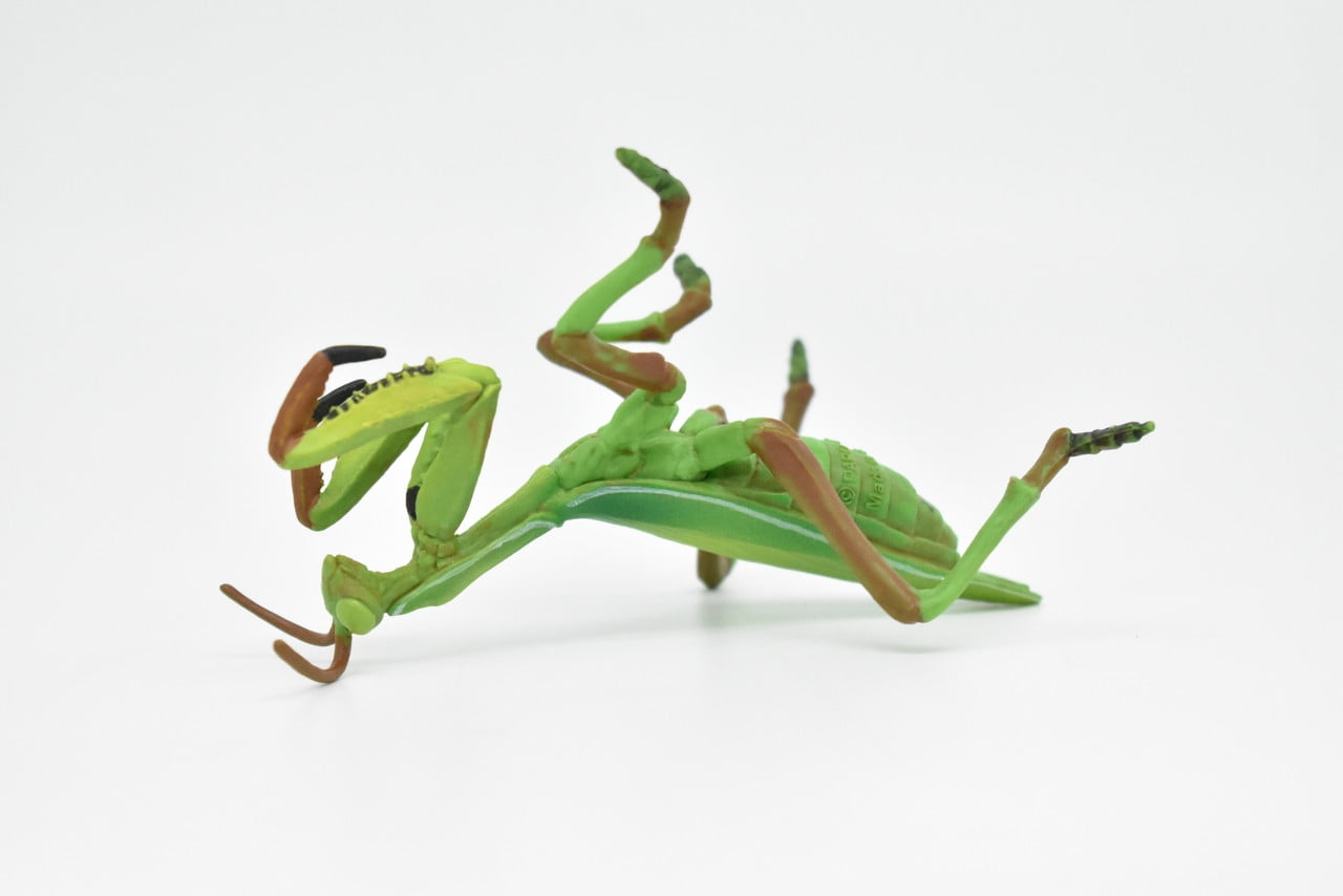 アビソ プレイング・マンティス5’4″ AVISO　PRAYING MANTIS Insect backpack praying mantis, bag stuffed | eBay