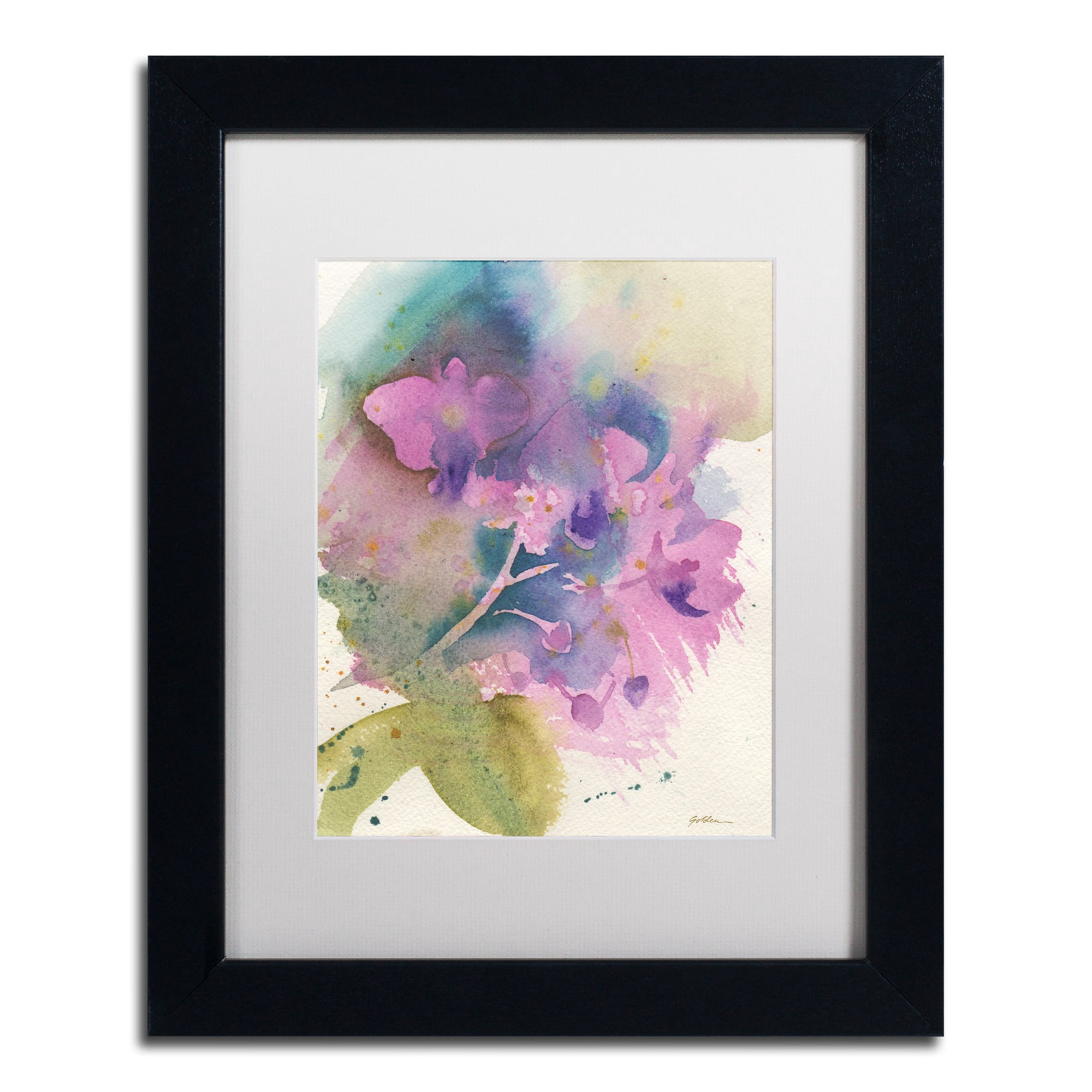 Trademark Fine Art "Orchid Dream" Canvas Art by Sheila Golden White Matte, Black Frame