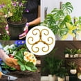 thumbnail image 3 of Plant Stem Support, Climbing Houseplant Leaf Support Ring Plant Climbers Stem Holders Plants Climbing Rack Plant Flower Gardening Growth Cultivation Accessories Tools 4pcs, 3 of 6