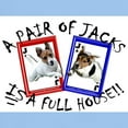 thumbnail image 3 of CafePress - Jack Russell Terrier, FULL H Ash Grey T Shirt - Light T-Shirt - CP, 3 of 4