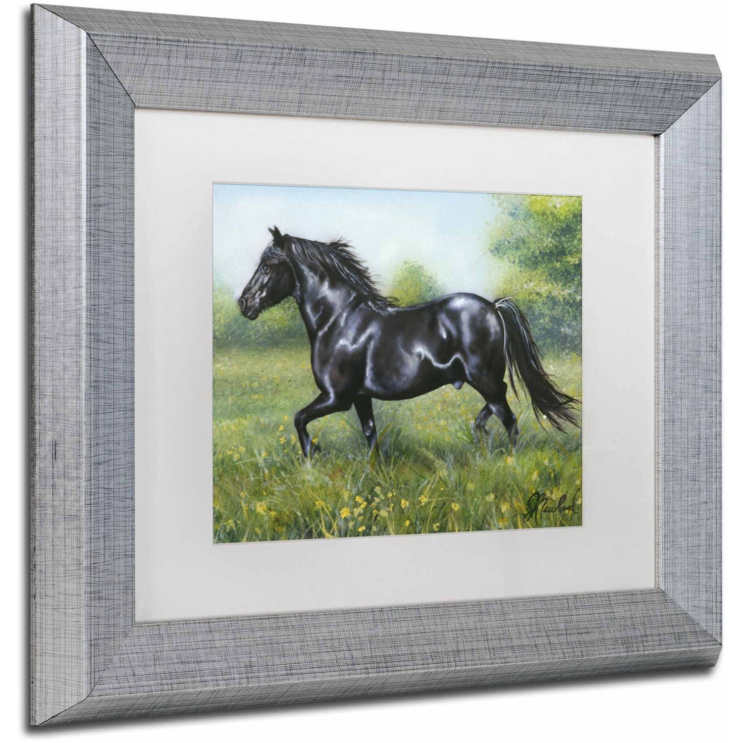 Trademark Fine Art 'Free Spirit' Canvas Art by Jenny Newland, White Matte, Silver Frame