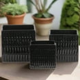 thumbnail image 3 of Primrose Ceramic Square Planter Set (Set of 3), 3 of 5