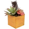 thumbnail image 2 of Northlight Artificial Potted Mixed Succulent Arrangement - 7", 2 of 6