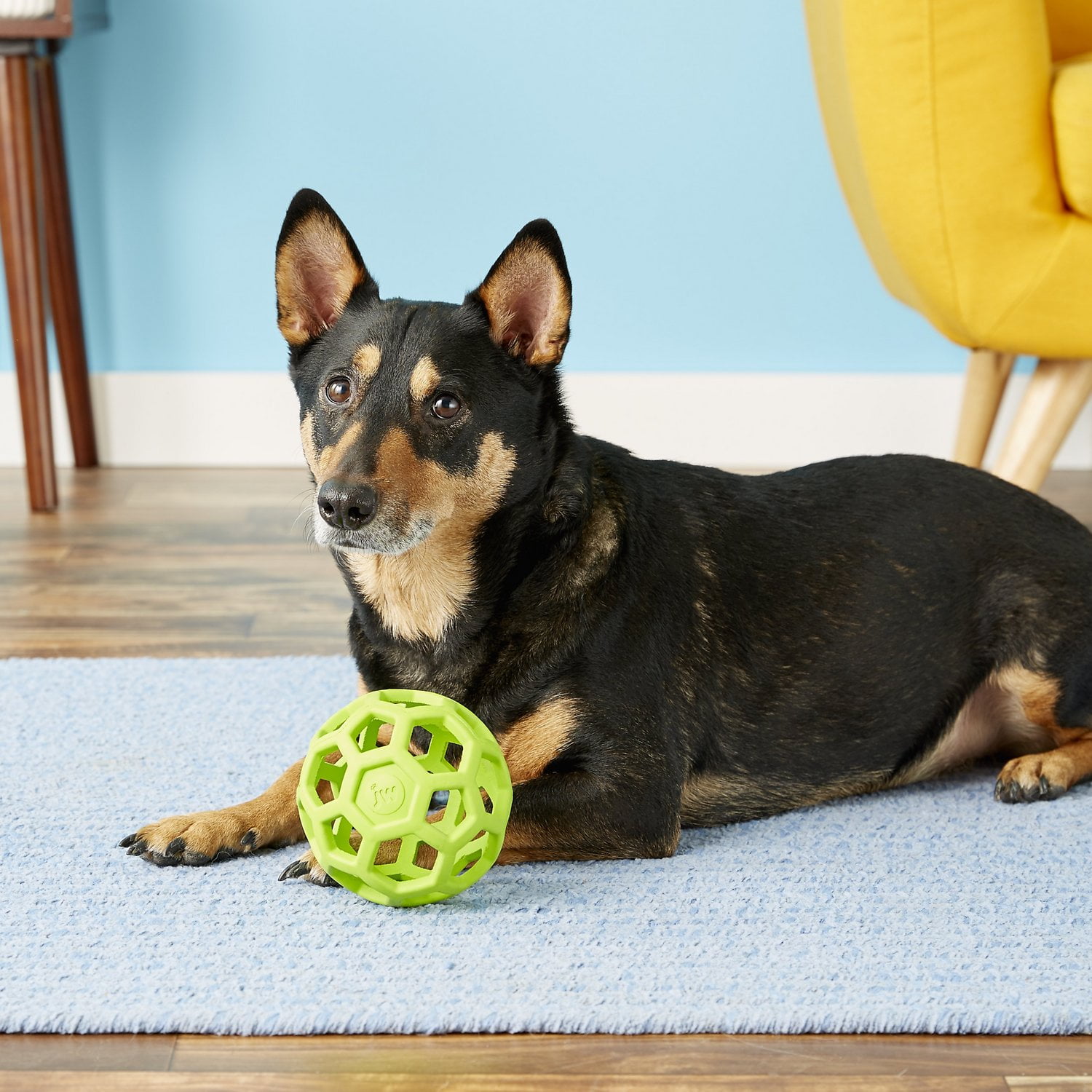 jw pet wobbling dog ball
