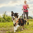 thumbnail image 2 of Heavy-Duty Dog Sledding Harness Adjustable Reflective Strap Winter Canicross Weight-Pulling Gear, 2 of 8