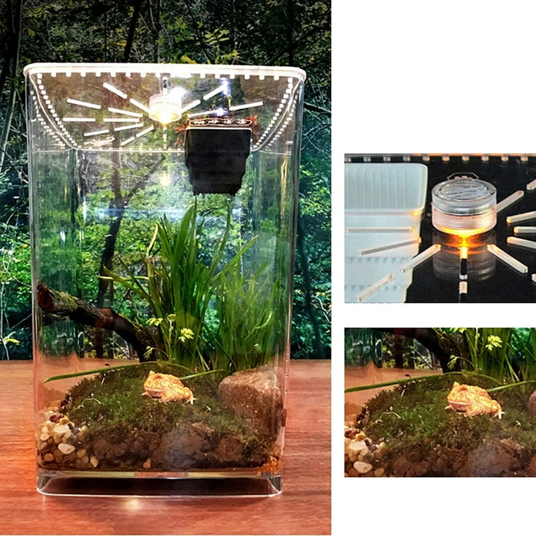 Small Acrylic Enclosure ( Terrarium Supplies Tarantula Scorpion reptile  tank )