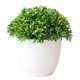 thumbnail image 1 of Wartleves Plantas de bolas artificiales, árbol en maceta, decoración para jardín, hogar, interior y oficina, 1 of 7