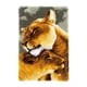 thumbnail image 1 of Alfombra anudada puntada Animal Matsuzay Kit accesorios niños principiantes hecho a mano, 1 of 6