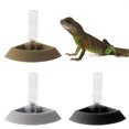 Efficient and Effortless Automatic Feeder for Lizards Geckos and