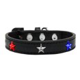 thumbnail image 1 of Red, White And Blue Stars Widget Dog Collar Black Size 12, 1 of 1