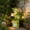 Green, variant on Solar Powered Stacked Frogs Garden Statue with LED Lantern - Welcome Sign Resin Decor for Patio, Lawn & Outdoor Yard