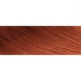 thumbnail image 3 of Creme Of Nature Color #6.4 Red Copper Exotic Shine With Argan Oil, 1 Ea, 3 of 5
