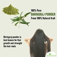 thumbnail image 2 of Bhringraj Powder Shudh Online Organic 100 g para el crecimiento del cabello, 2 of 7