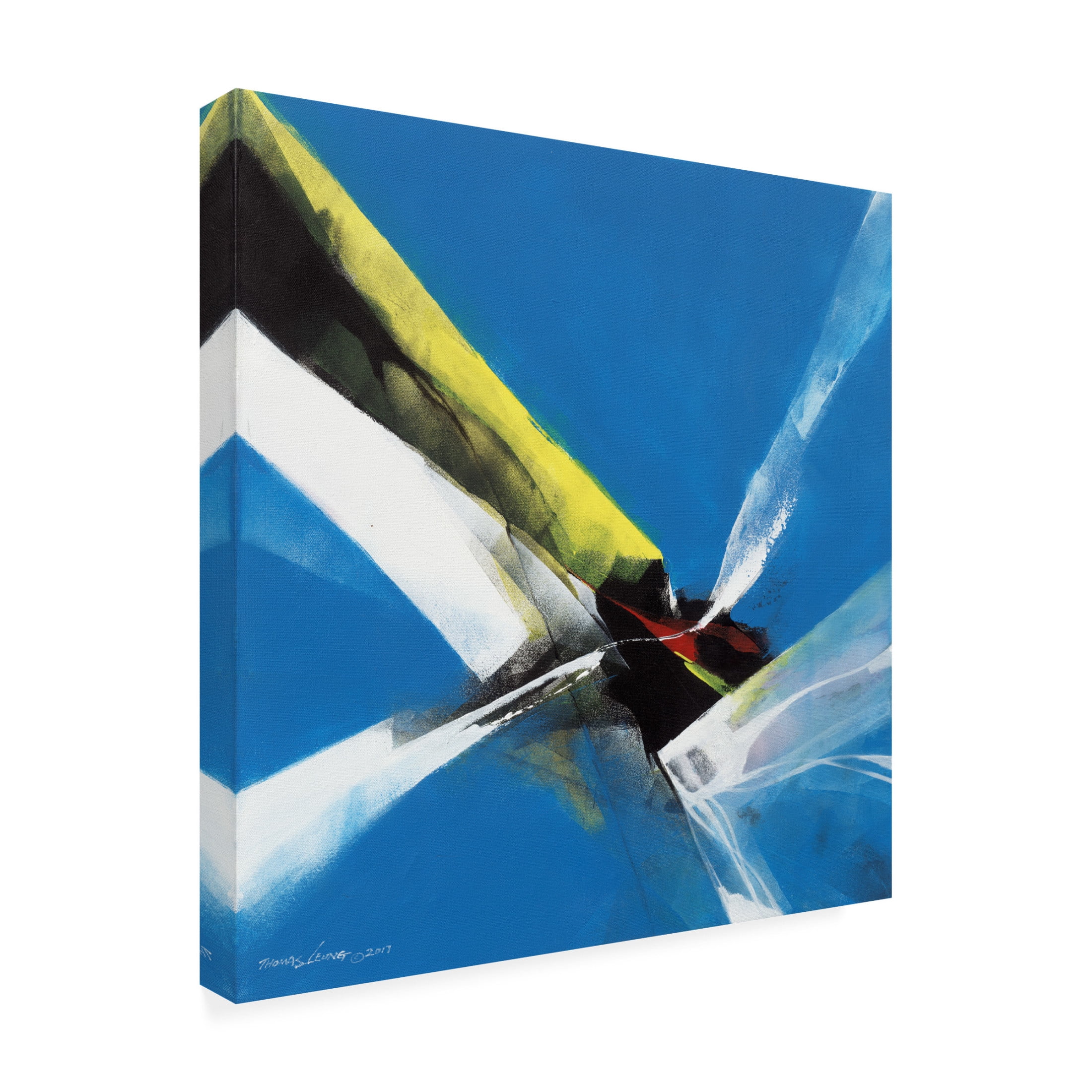 Canvas Wall Art - Thomas Leung 'Dancing Color' Wall Art for Living Room, Bedroom, or Office Décor by Trademark Fine Art - 14 x 14 Inches