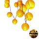 thumbnail image 3 of Linternas De Cadena De Jardín Solar 30 Linternas De Luz De Hadas Ip65 Lámpara De Cadena De Linterna Solar A Prueba De Agua Linterna Luz Led De Cadena Para Jardín Patio Patio Decoración De Fiesta Scienceny HA026783-01, 3 of 6