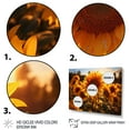 thumbnail image 3 of Designart "Sunlit Sunflowers Orange Radiance II" Floral Floater Framed Canvas Art Print, 3 of 7