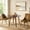 Gold, variant on Dining Chairs Set of 2 Velvet Upholstered Side Chairs Solid Wood Legs Home Kitchen Coral