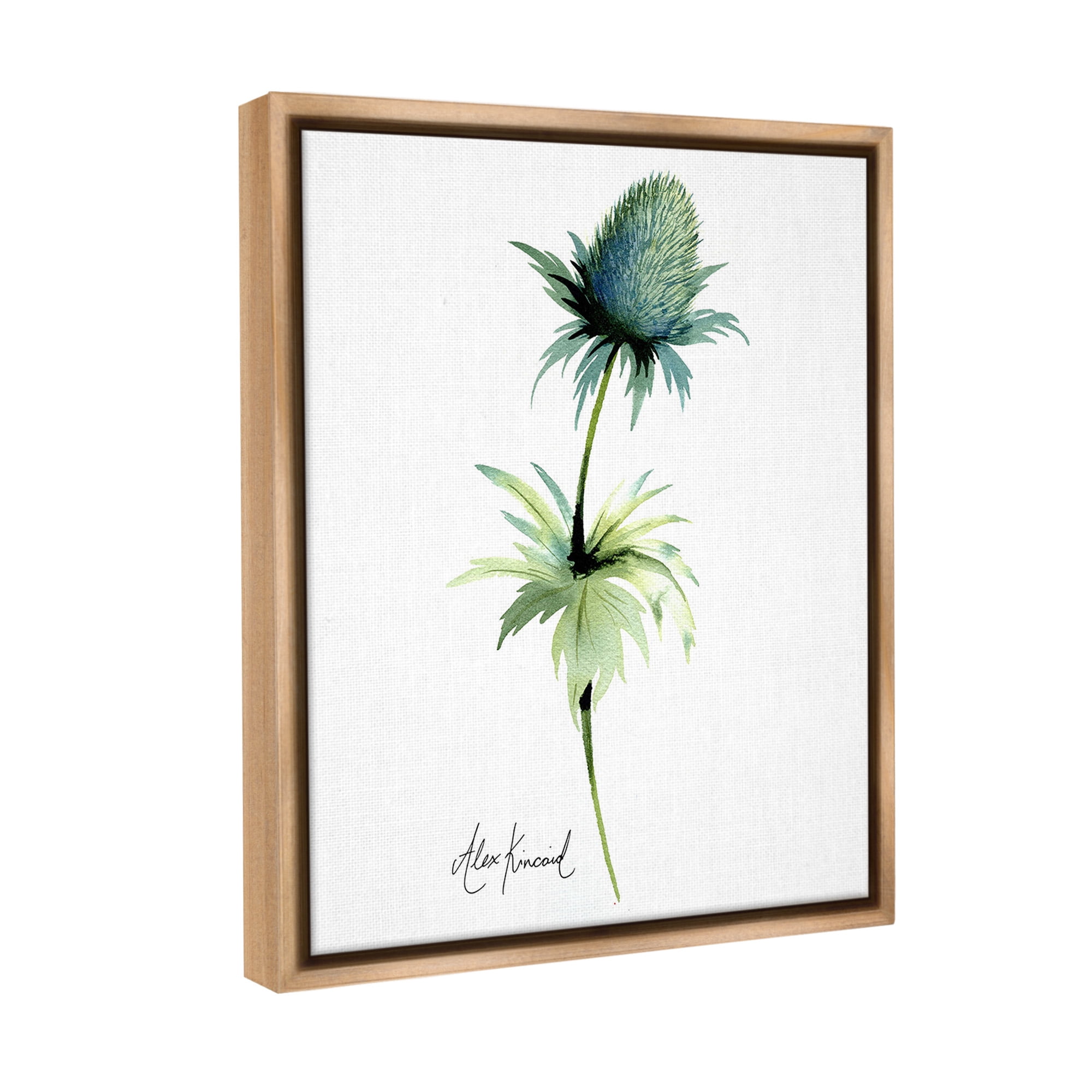 Stupell Industries Simple Thistle Plant Botanical & Floral Painting Brown Floater Framed Canvas Art Print Wall Art, 25 x 31