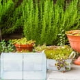 thumbnail image 4 of OULII Home Gardeners Mini Greenhouse Cover Transparent 1Pack, 4 of 4